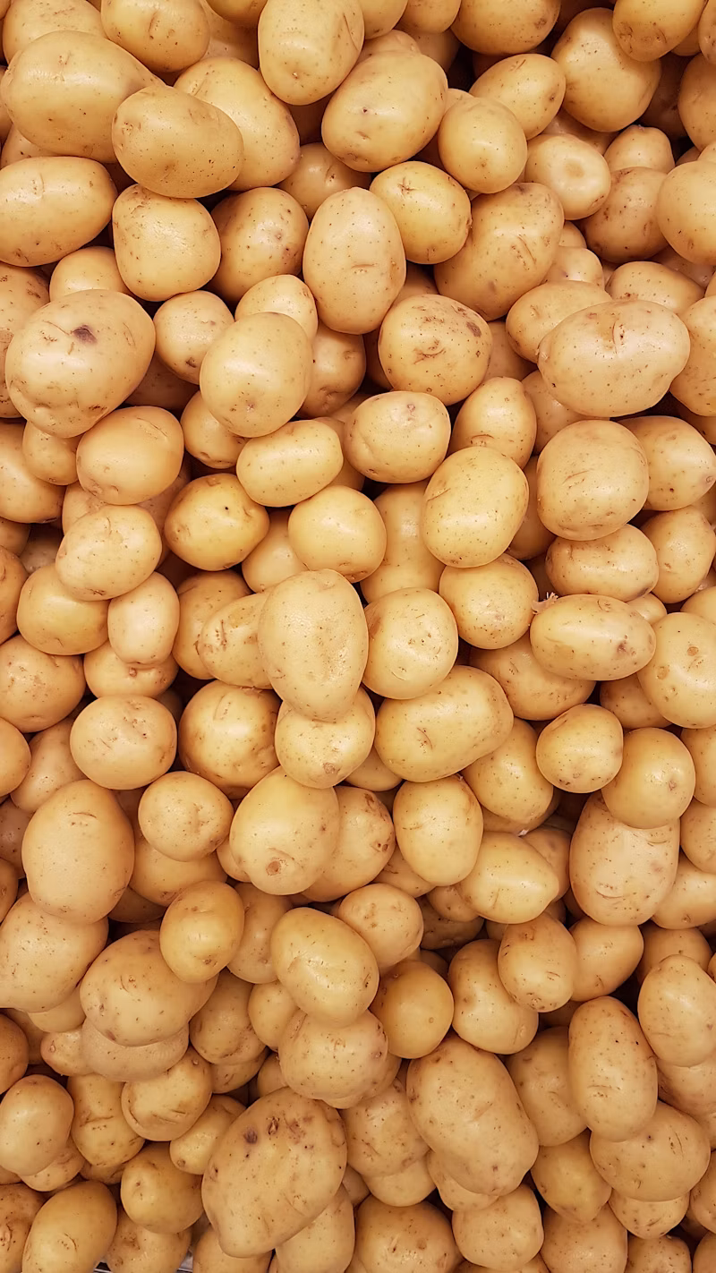 Macarrão Espaguete (500g)